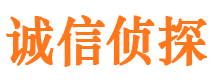 峨山市调查公司